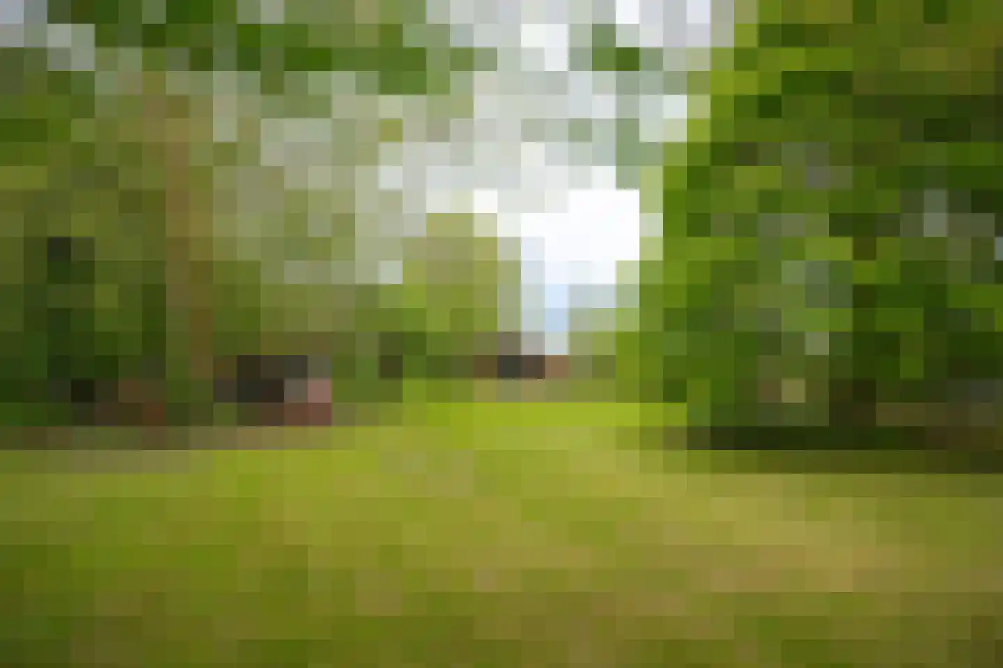 Steenweg 22 Zaltbommel thumbnail 68