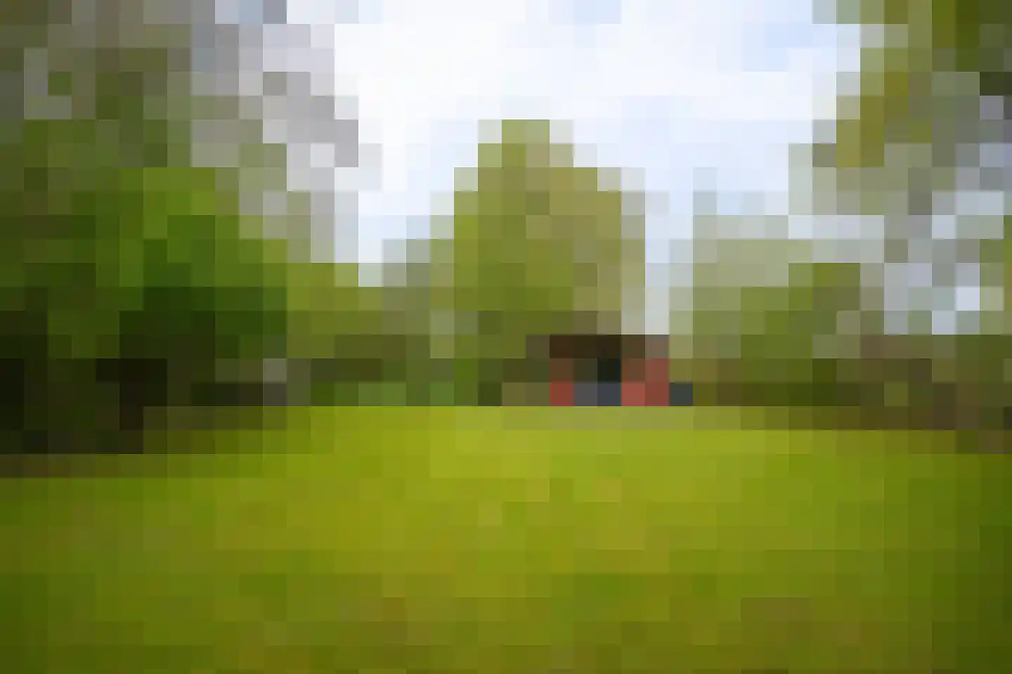 Steenweg 22 Zaltbommel thumbnail 69