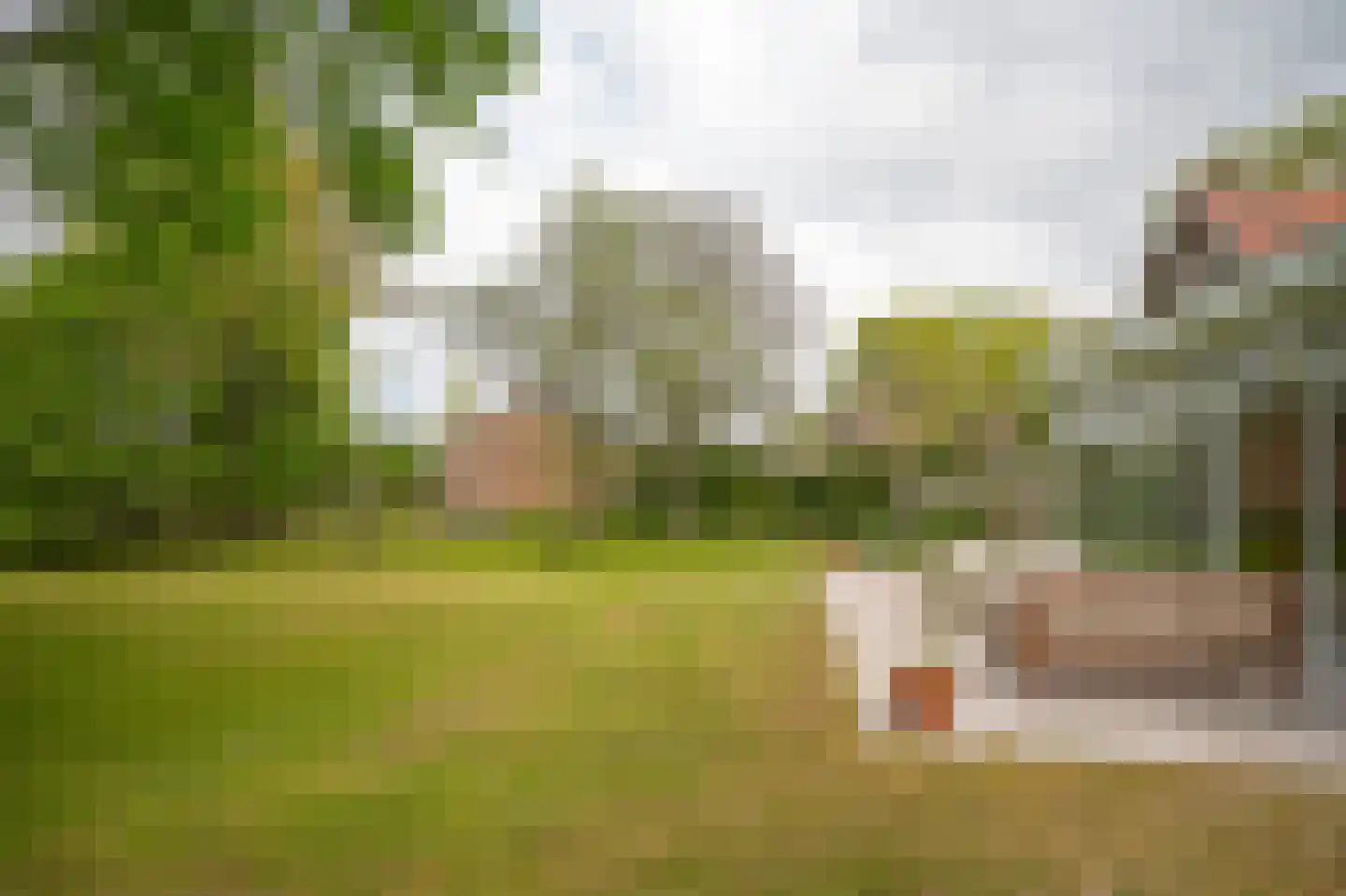 Steenweg 22 Zaltbommel thumbnail 7