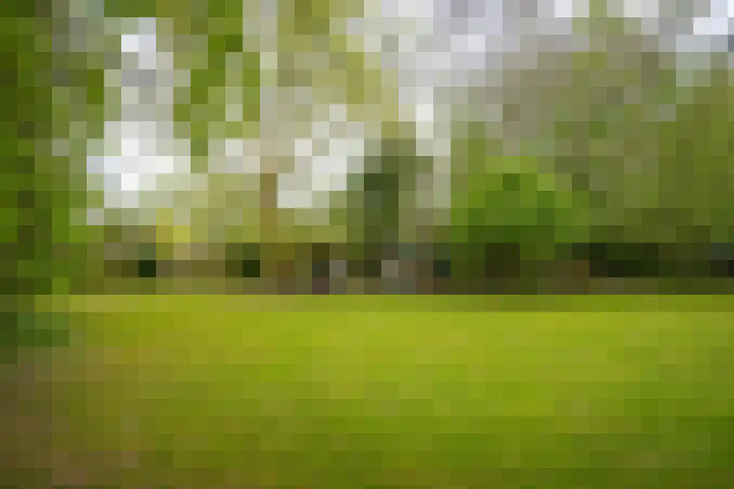 Steenweg 22 Zaltbommel thumbnail 70