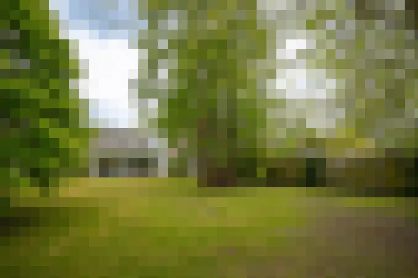 Steenweg 22 Zaltbommel thumbnail 71