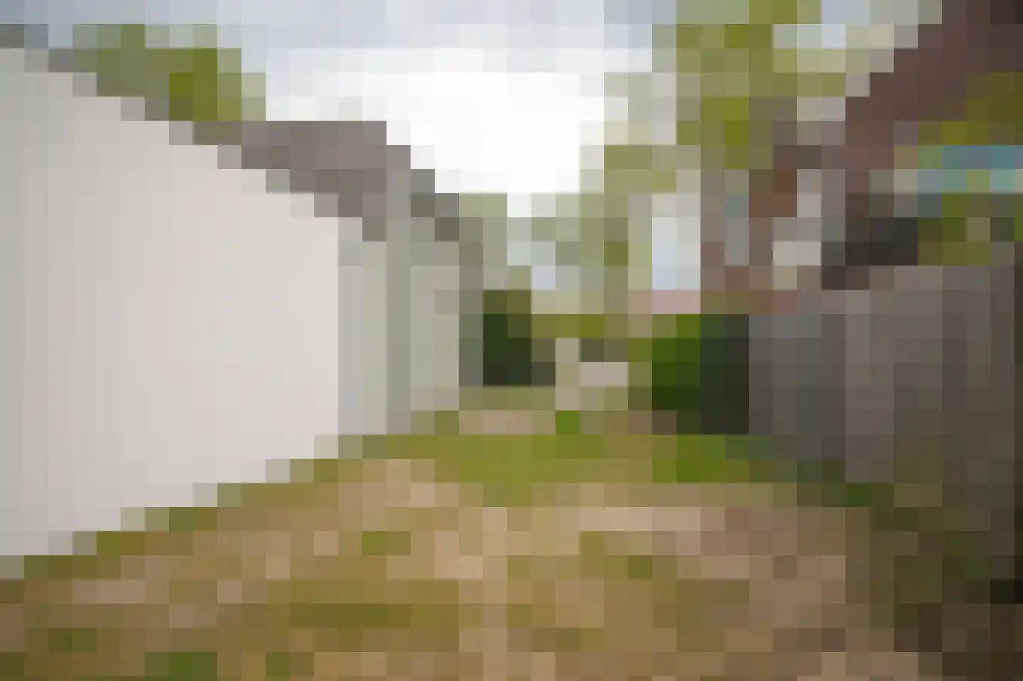 Steenweg 22 Zaltbommel thumbnail 72
