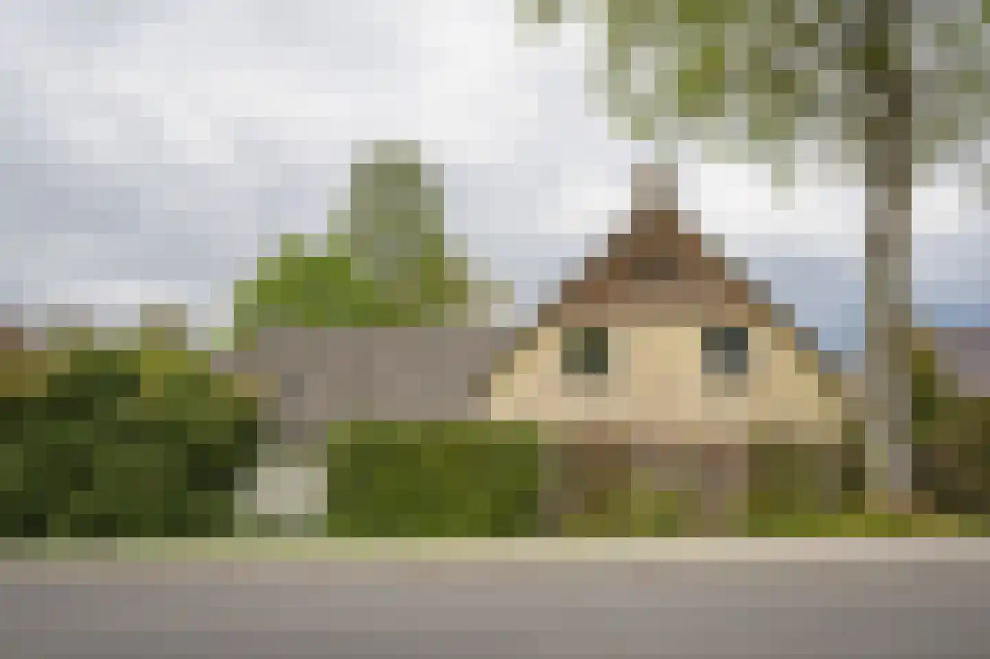 Steenweg 22 Zaltbommel thumbnail 77