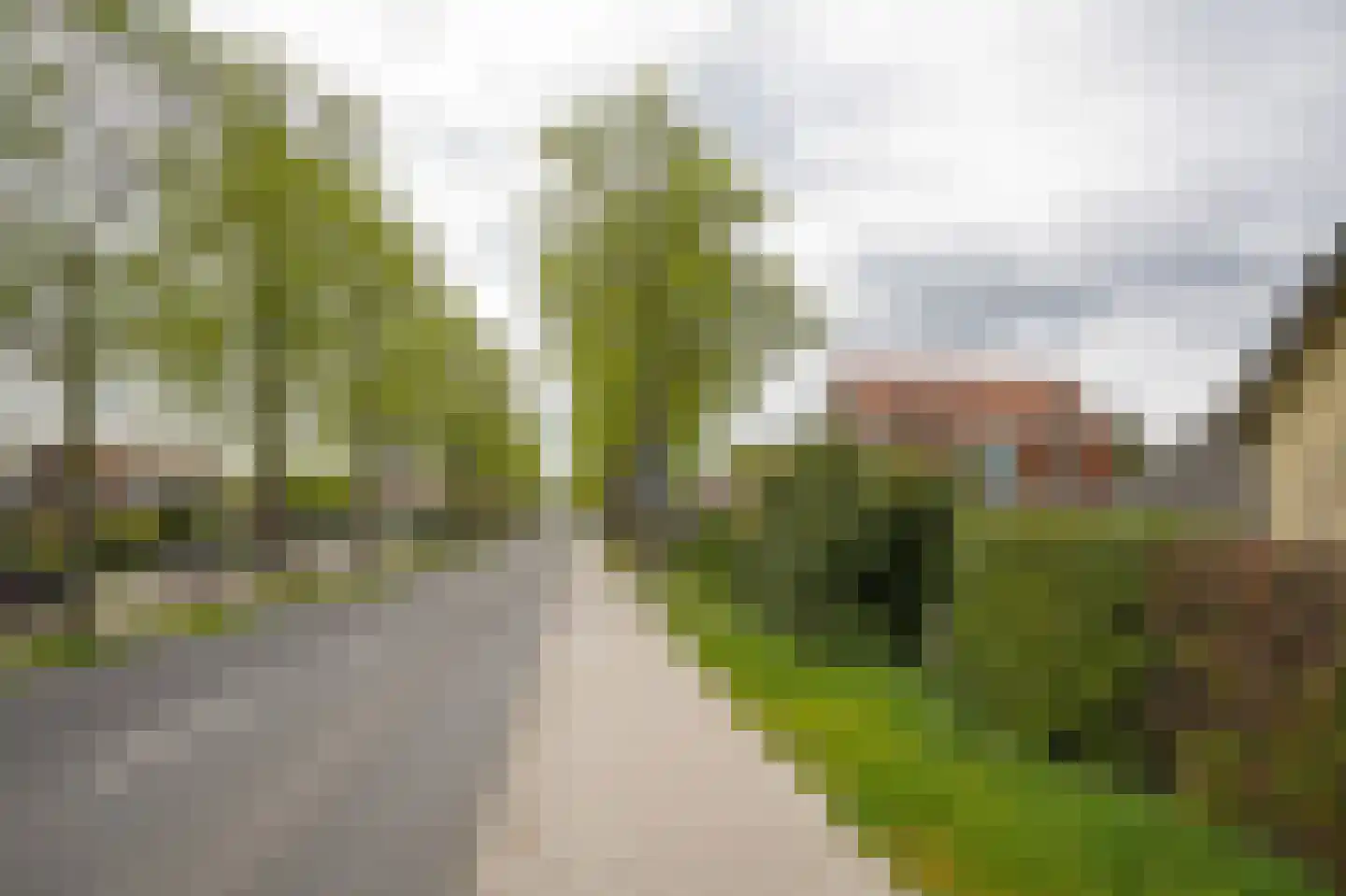 Steenweg 22 Zaltbommel thumbnail 79