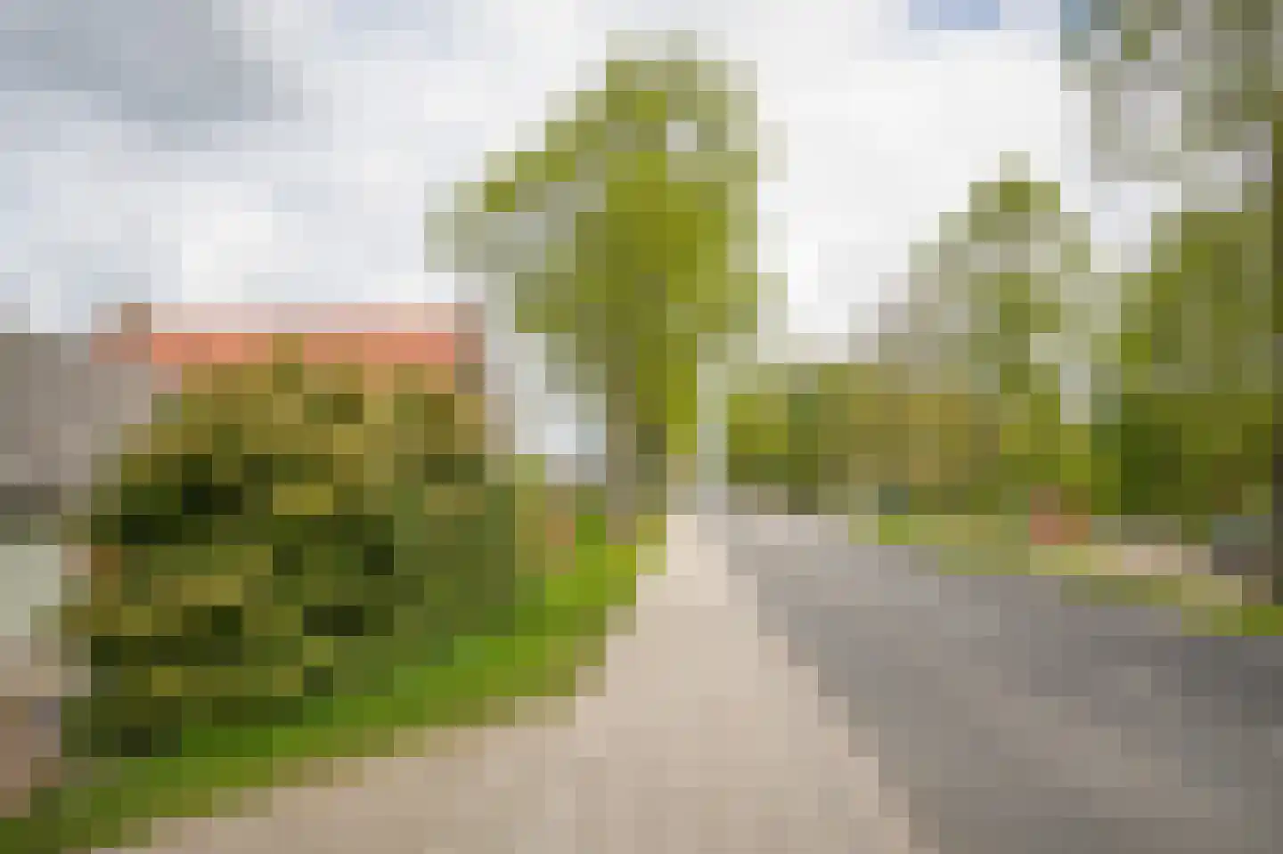 Steenweg 22 Zaltbommel thumbnail 80