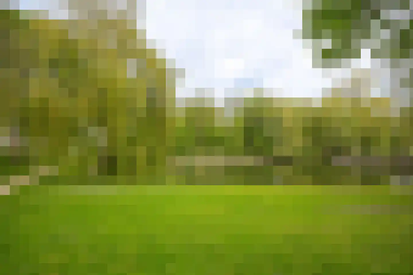 Steenweg 22 Zaltbommel thumbnail 81