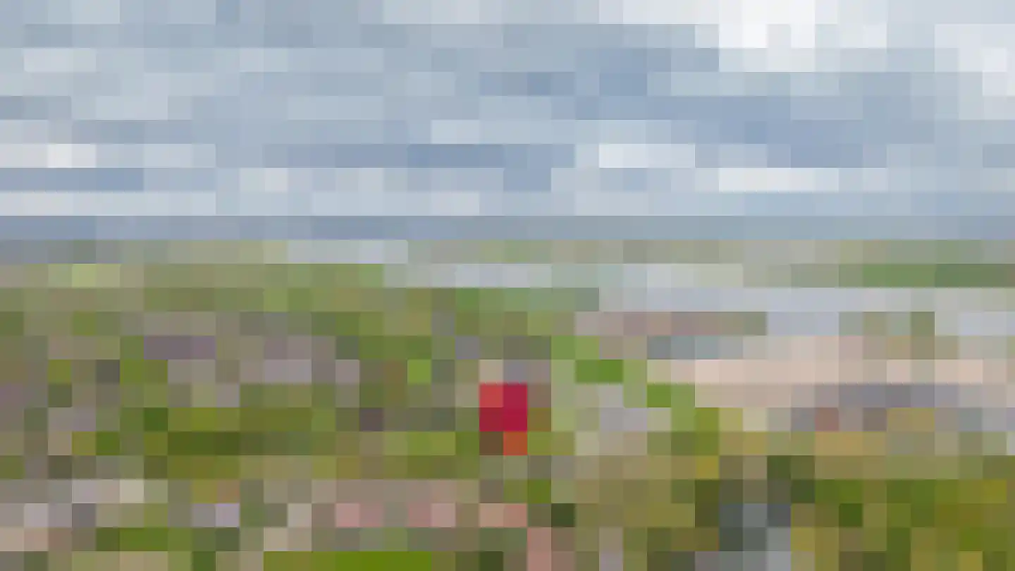 Steenweg 22 Zaltbommel thumbnail 86