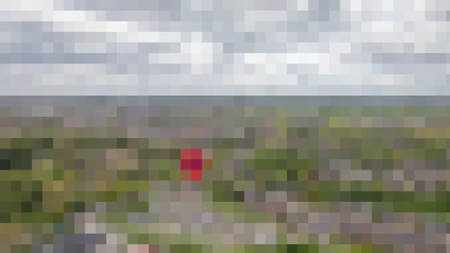Steenweg 22 Zaltbommel thumbnail 87