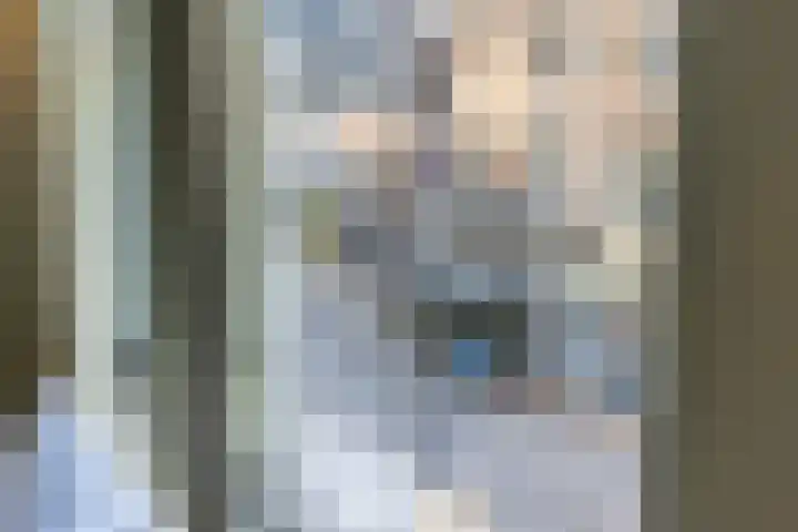 Steenweg 30 A Utrecht thumbnail 20
