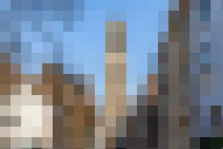 Steenweg 30 A Utrecht thumbnail 31