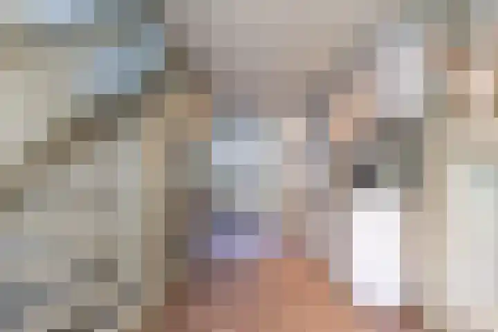 Steenweg 30 A Utrecht thumbnail 7