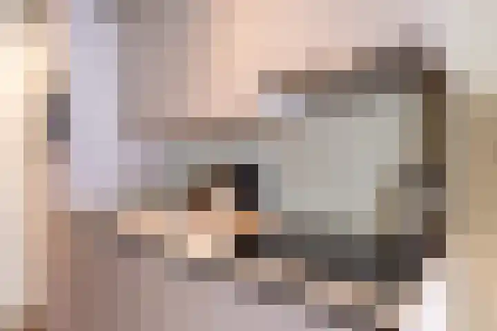 Steenweg 30 A Utrecht thumbnail 8