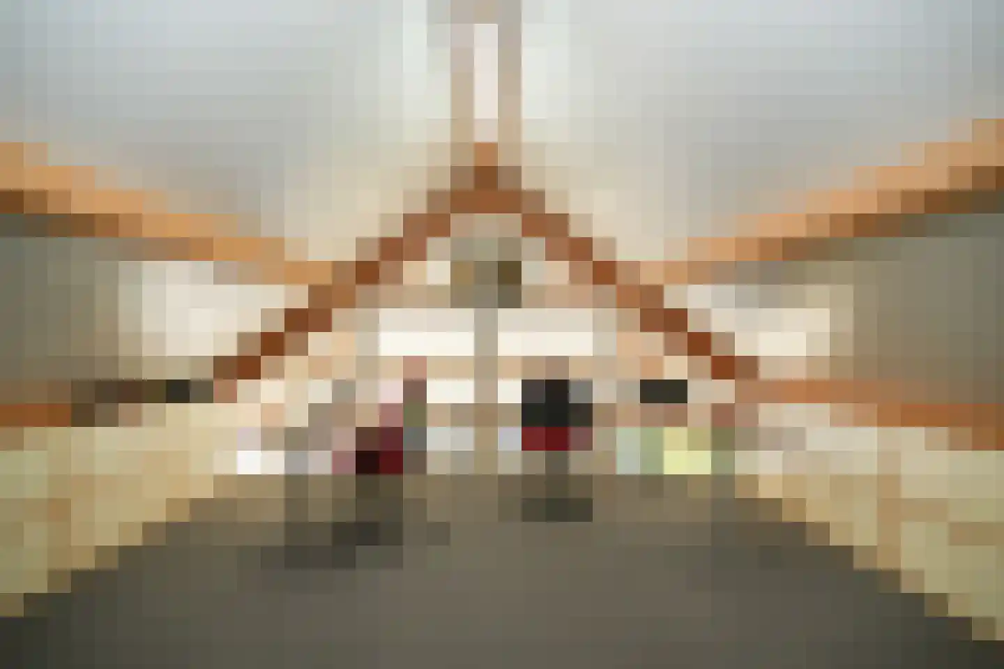 Steenweg 39 Zaltbommel thumbnail 59