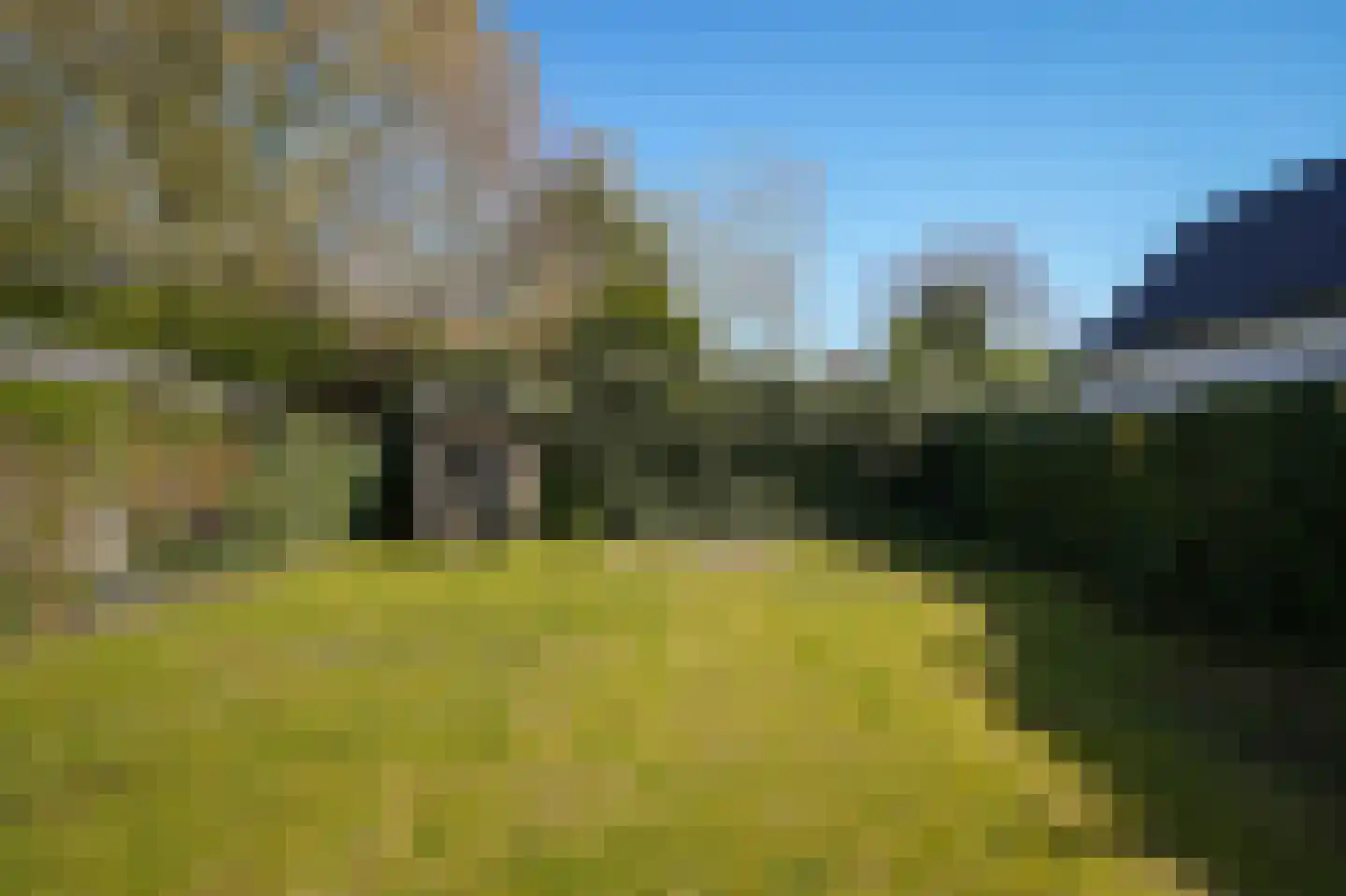 Steenweg 39 Zaltbommel thumbnail 61