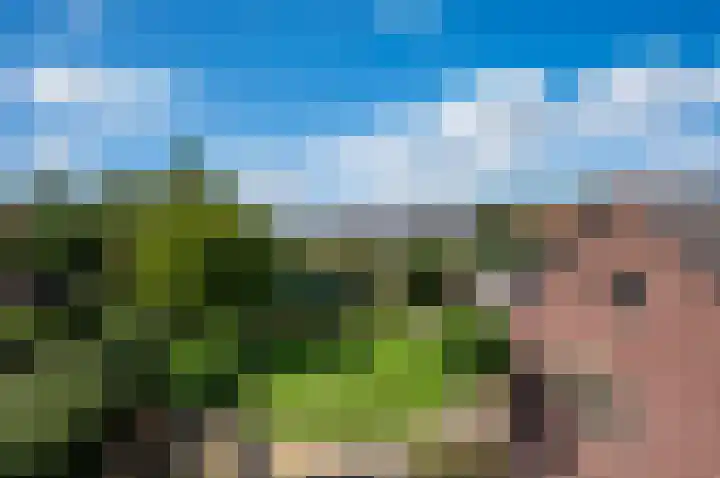Steenweg 4 Milsbeek thumbnail 19