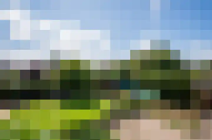Steenweg 4 Milsbeek thumbnail 20