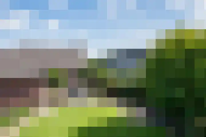 Steenweg 4 Milsbeek thumbnail 21
