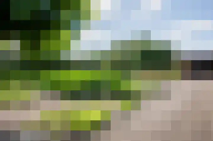 Steenweg 4 Milsbeek thumbnail 27