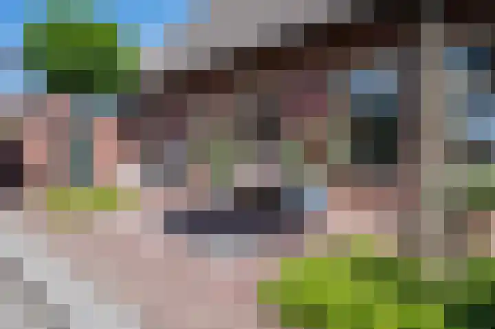 Steenweg 4 Milsbeek thumbnail 28