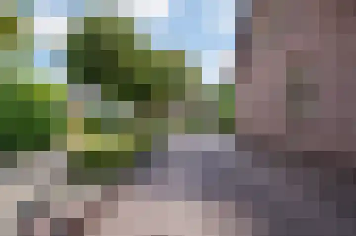 Steenweg 4 Milsbeek thumbnail 29