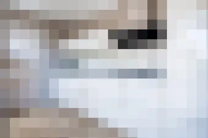 Steenweg 4 Milsbeek thumbnail 8