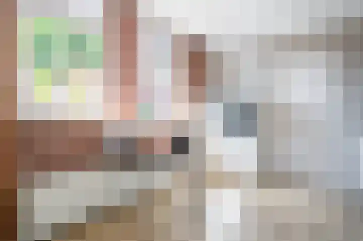 Steenweg 4 Milsbeek thumbnail 9