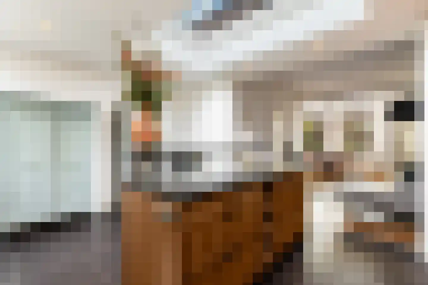 Steenweg 40 Zaltbommel thumbnail 12