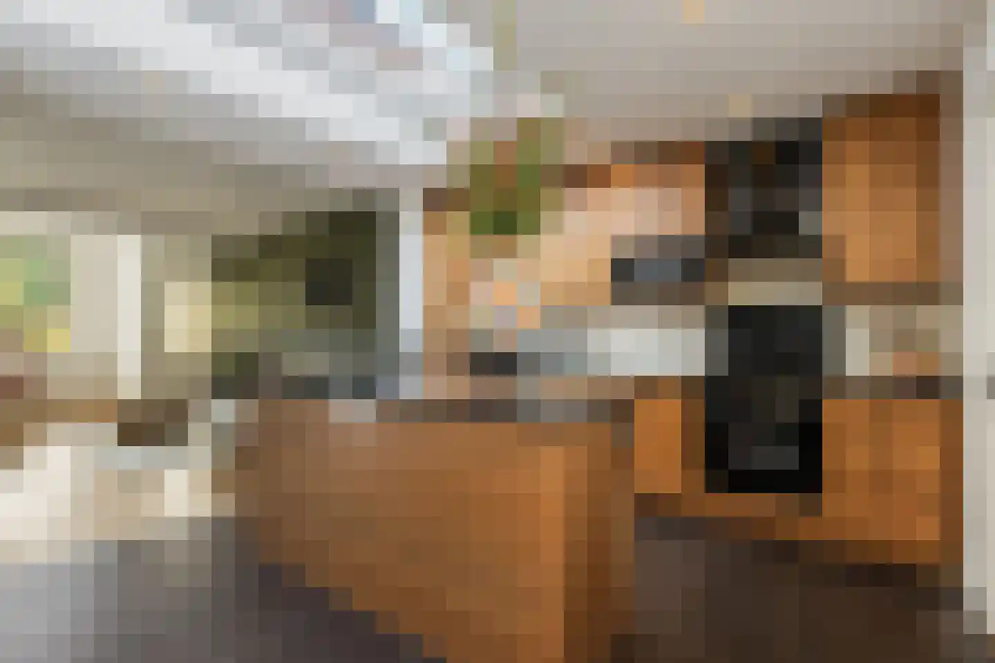 Steenweg 40 Zaltbommel thumbnail 13