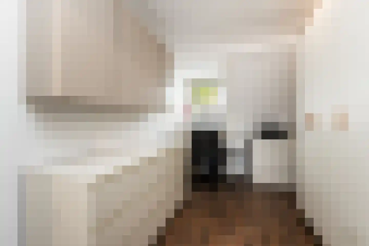 Steenweg 40 Zaltbommel thumbnail 30
