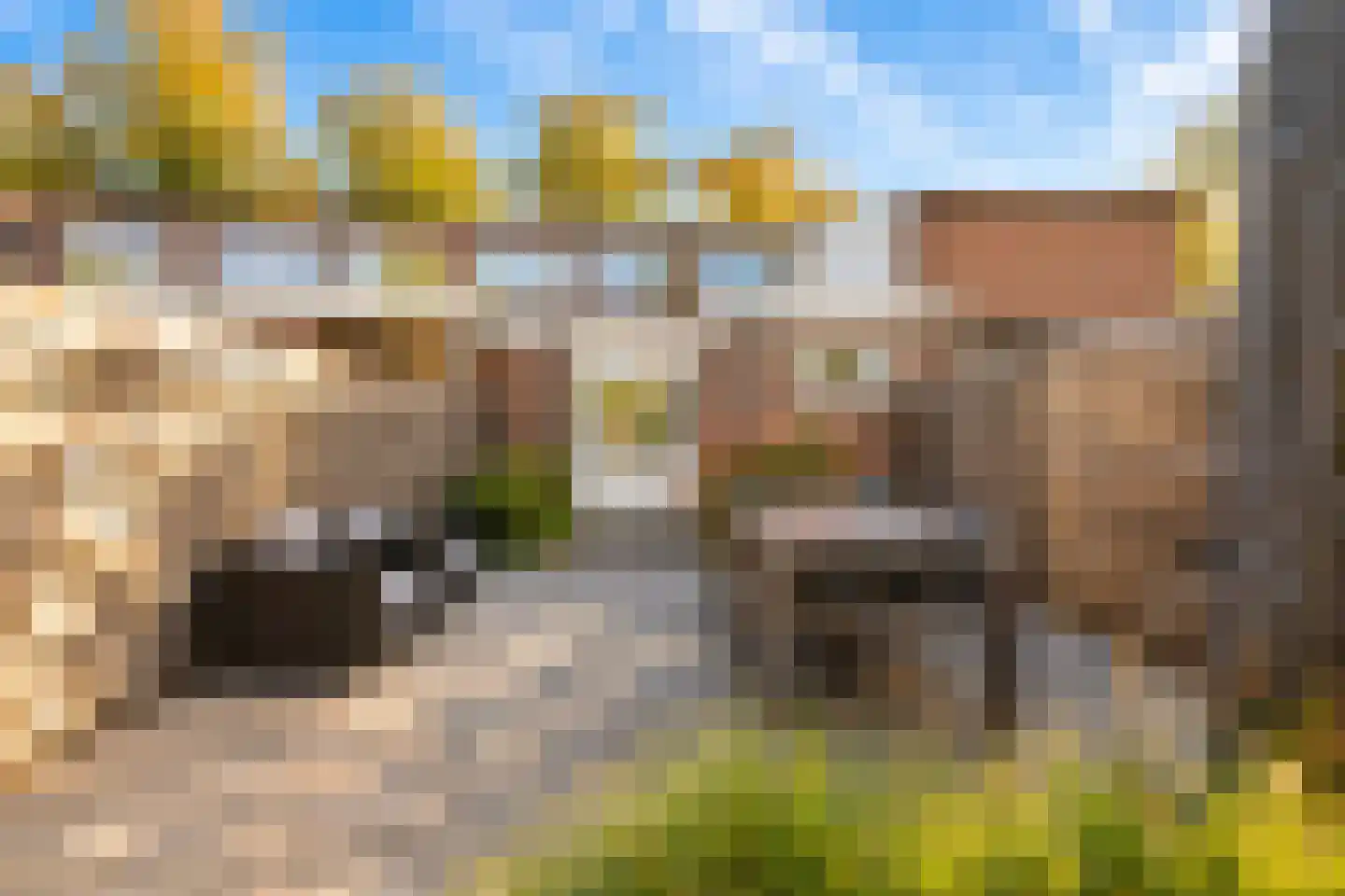 Steenweg 40 Zaltbommel thumbnail 31