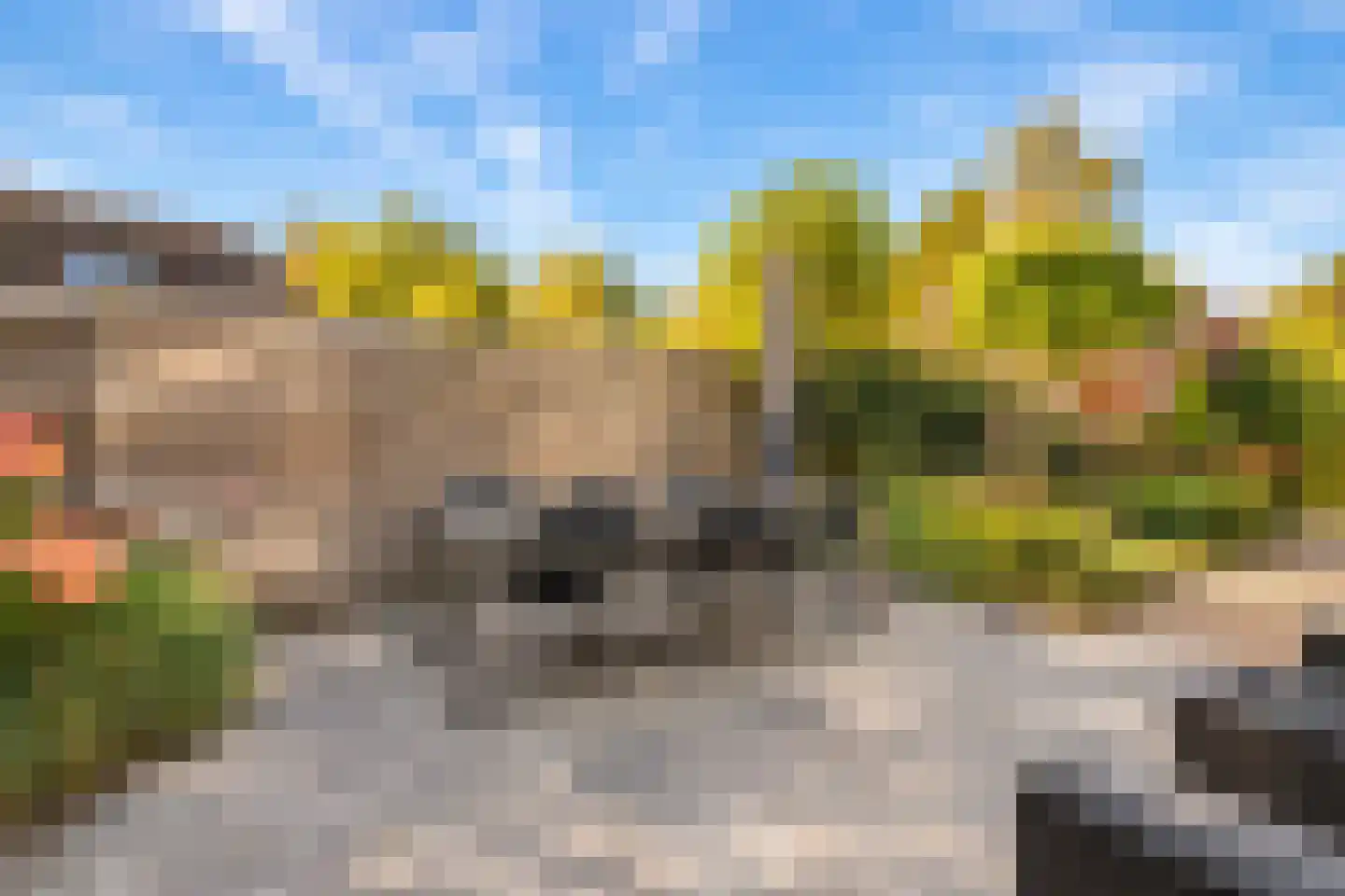 Steenweg 40 Zaltbommel thumbnail 32