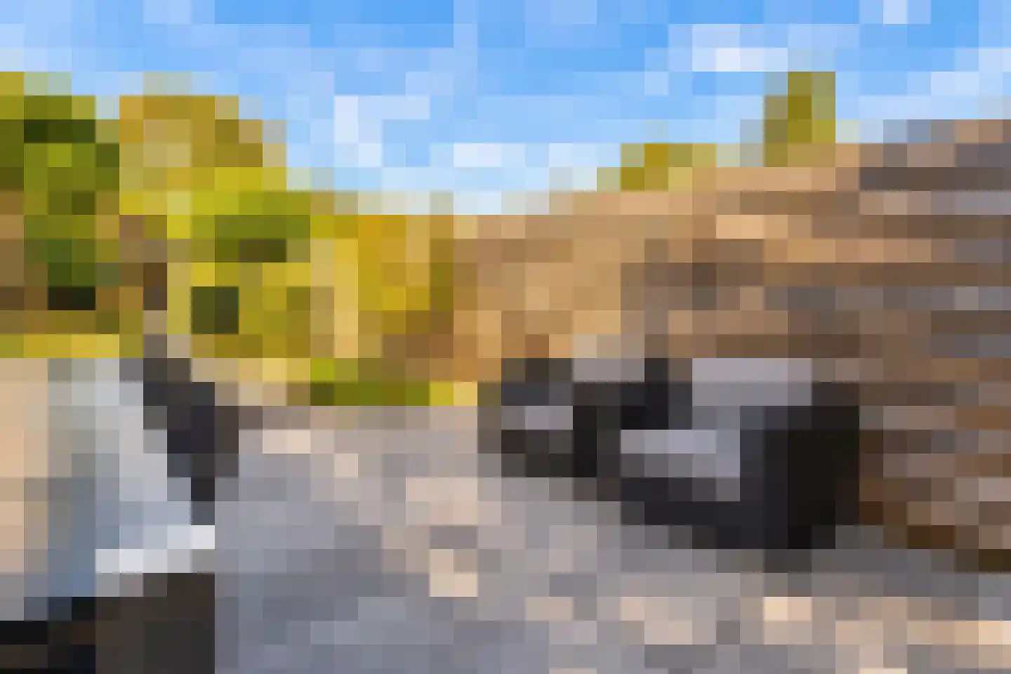 Steenweg 40 Zaltbommel thumbnail 33