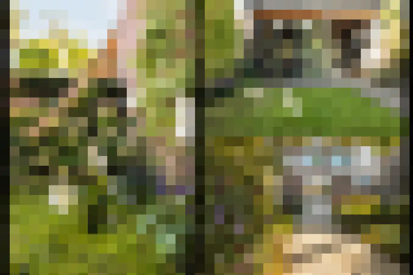 Steenweg 40 Zaltbommel thumbnail 35
