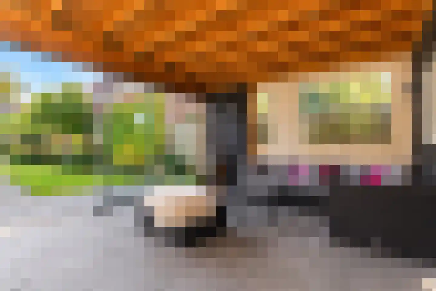 Steenweg 40 Zaltbommel thumbnail 37