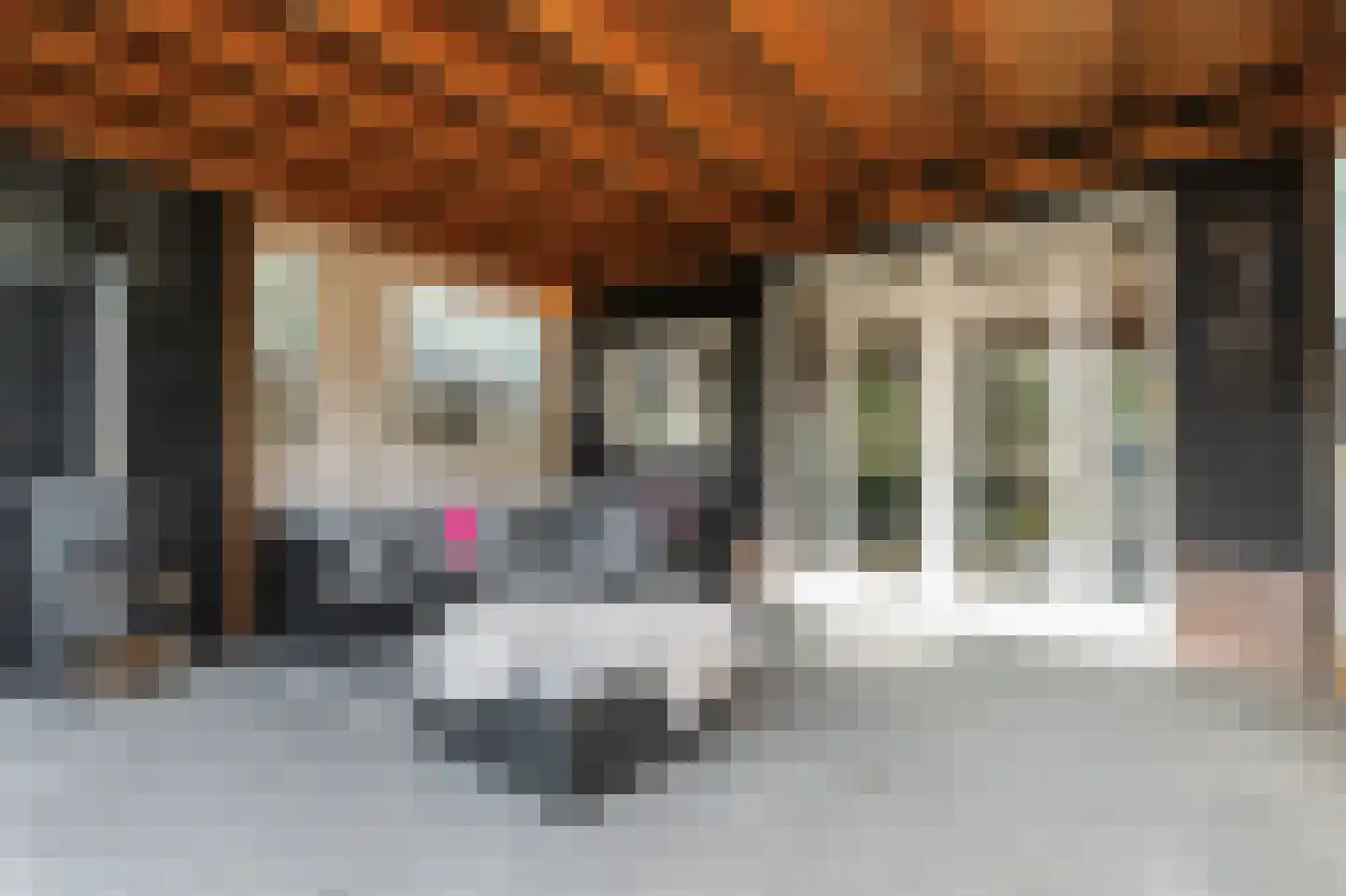 Steenweg 40 Zaltbommel thumbnail 38