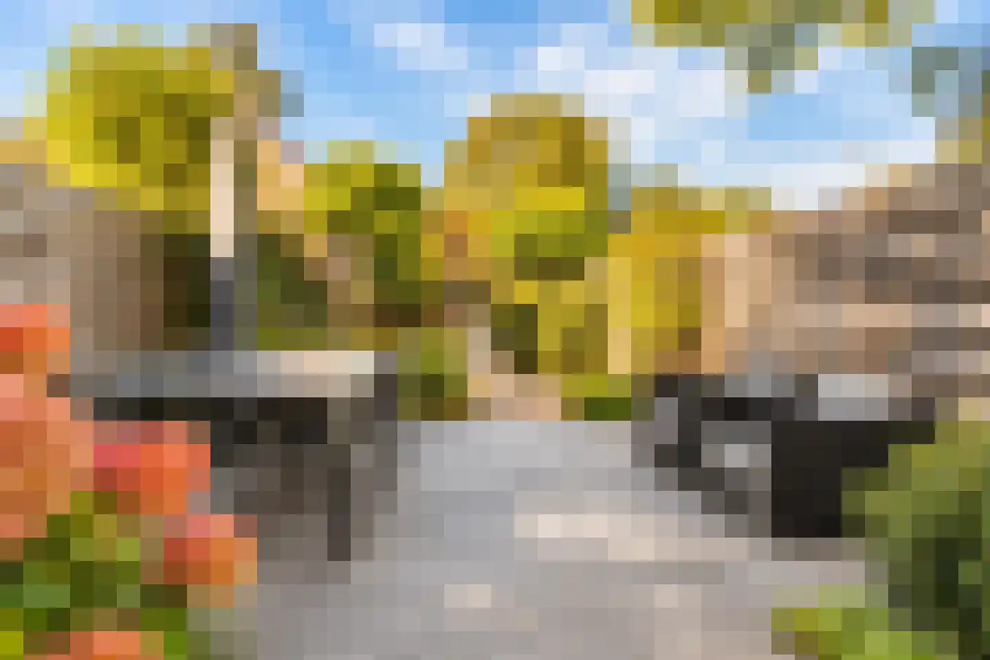 Steenweg 40 Zaltbommel thumbnail 4