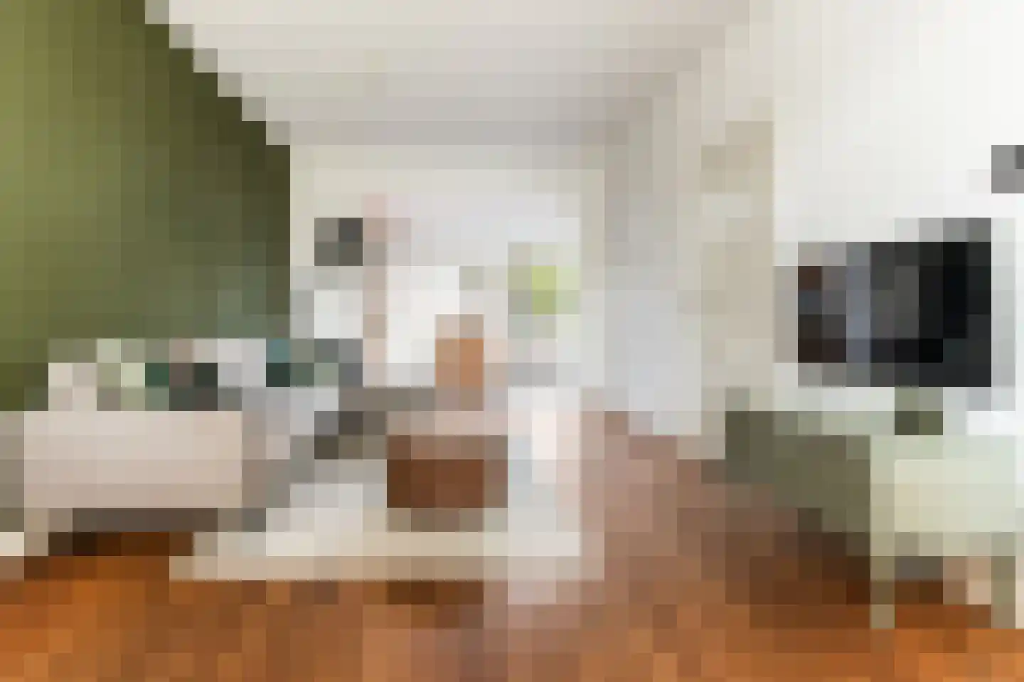 Steenweg 40 Zaltbommel thumbnail 6