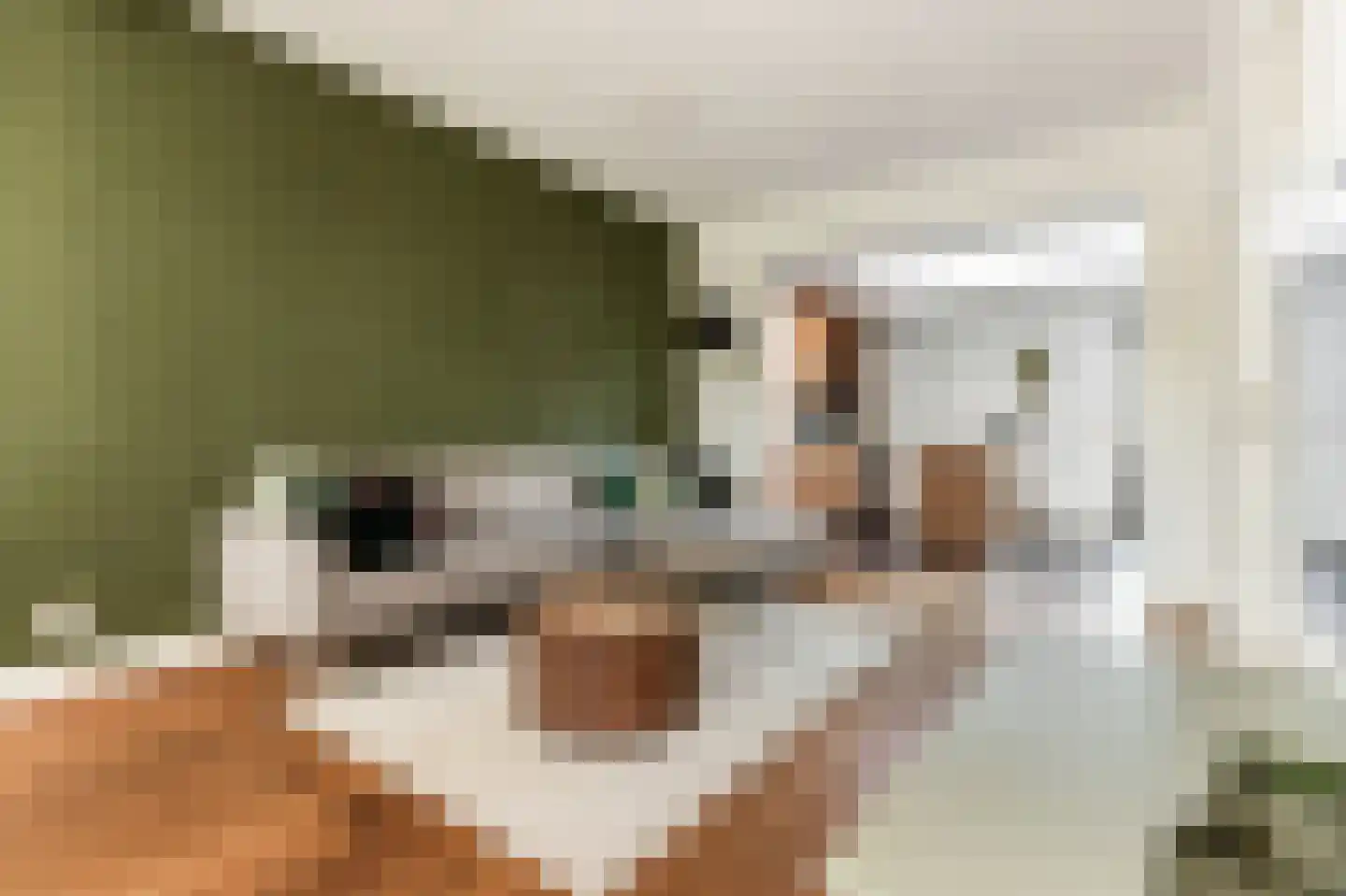 Steenweg 40 Zaltbommel thumbnail 7