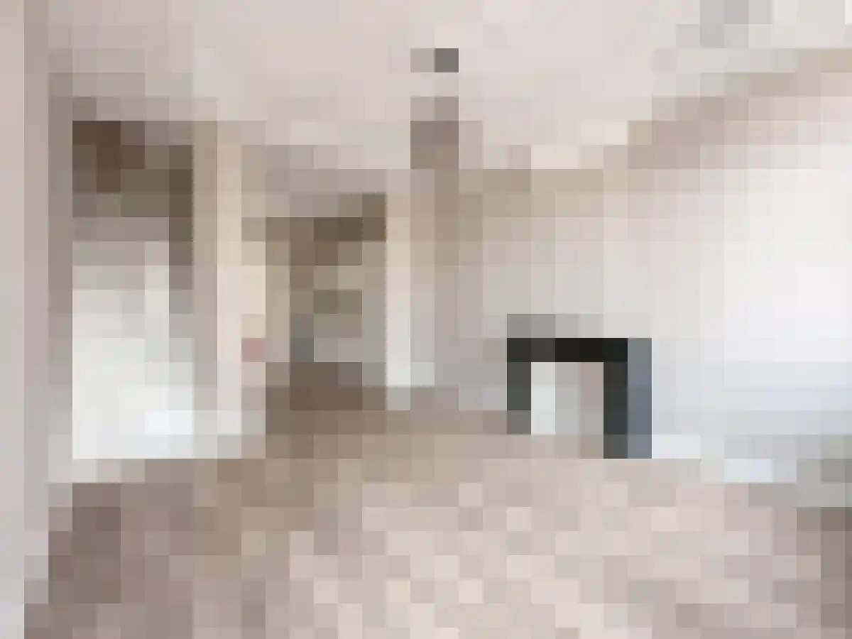 Steenweg 42 Utrecht thumbnail 4