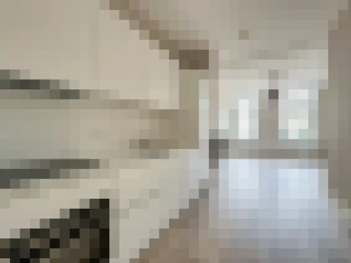 Steenweg 42 Utrecht thumbnail 5