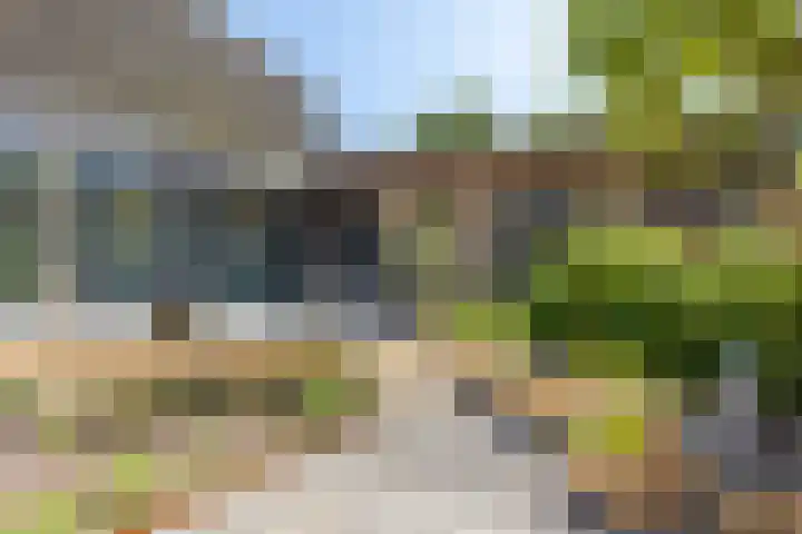Steenweg 46 Sittard thumbnail 34