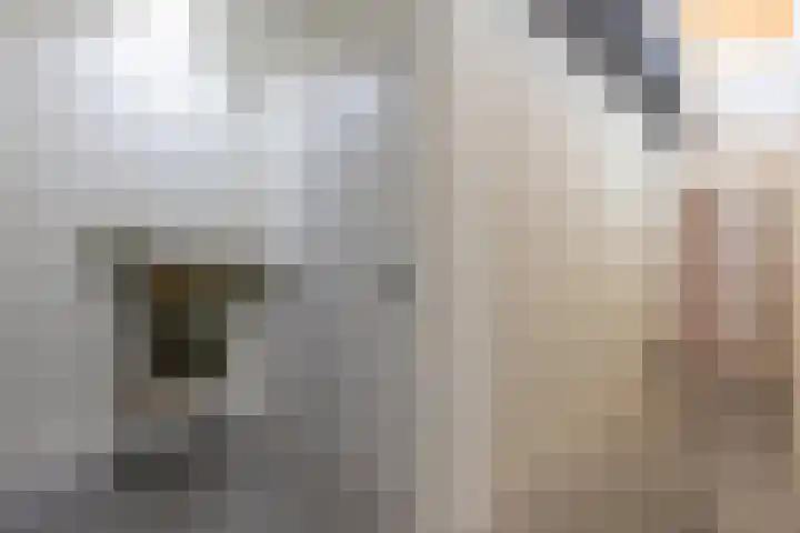 Steenweg 46 Sittard thumbnail 37