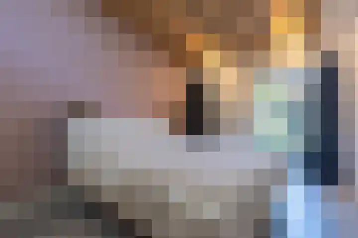 Steenweg 46 Sittard thumbnail 44