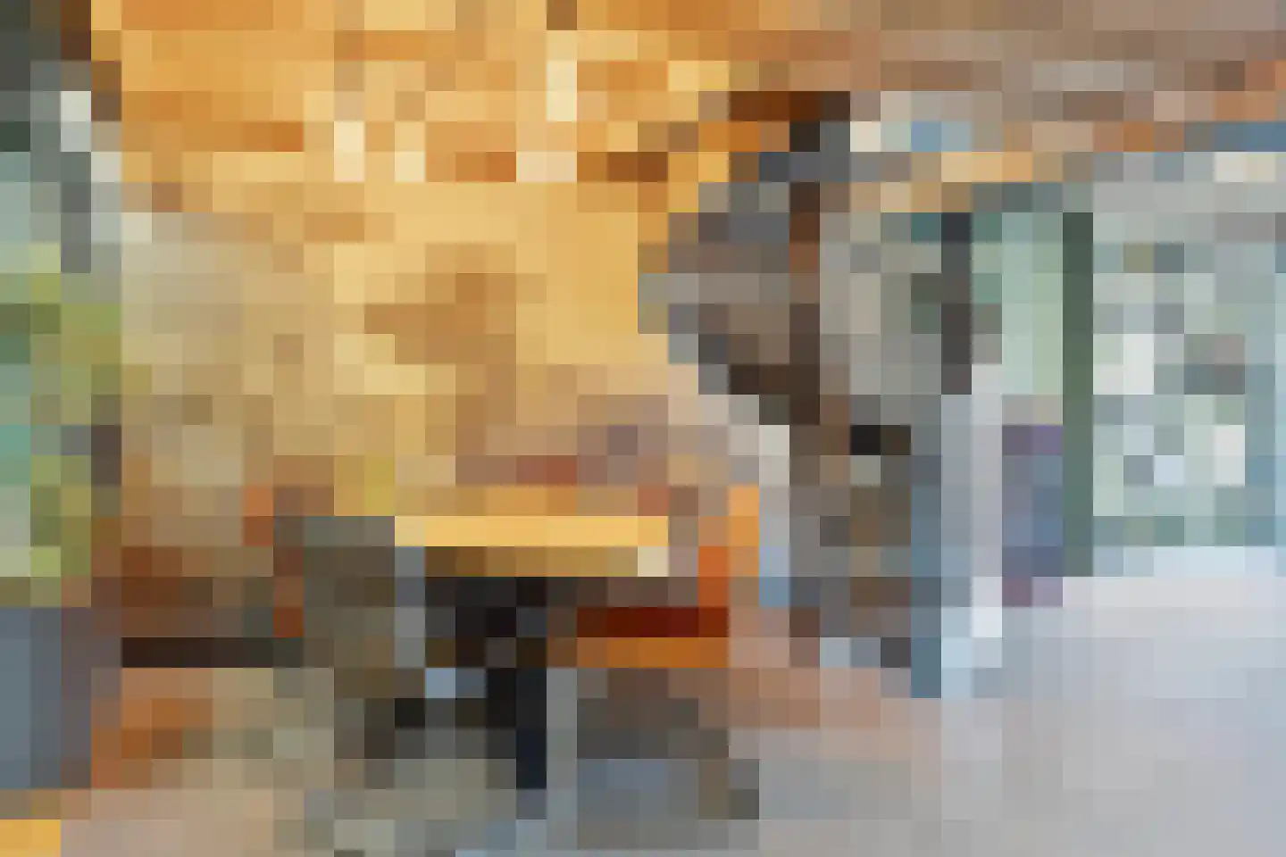 Steenweg 47 Waardenburg thumbnail 15