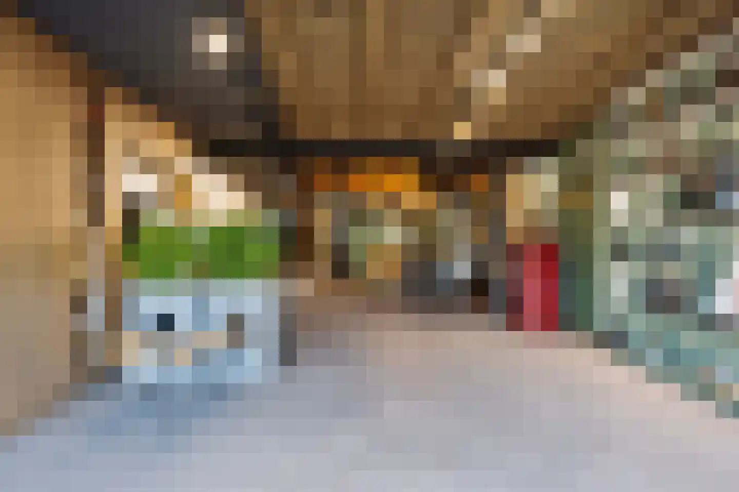 Steenweg 47 Waardenburg thumbnail 5
