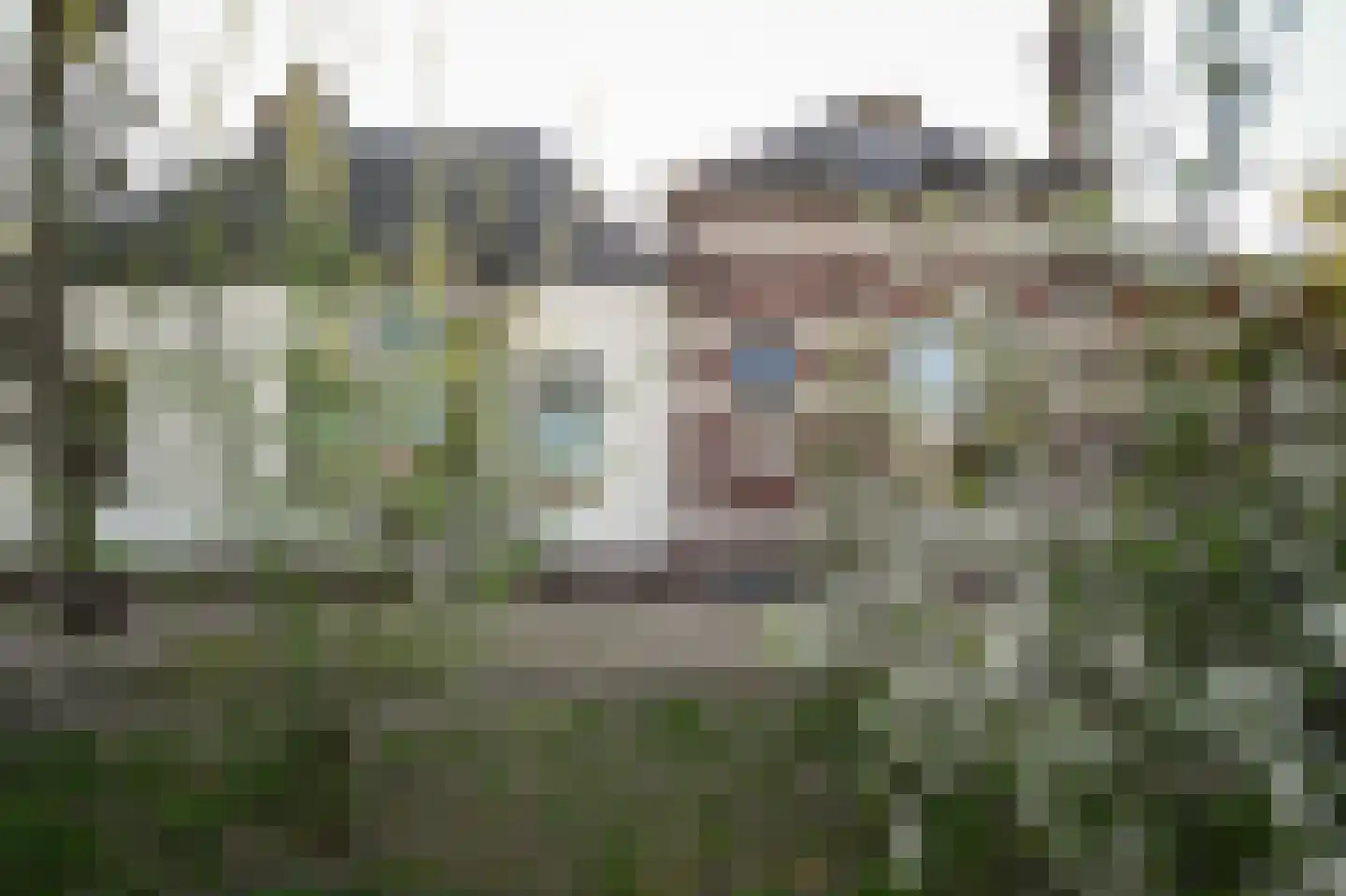 Steenweg 51 Waardenburg thumbnail 32