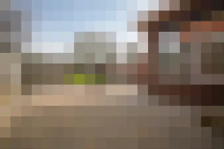 Steenweg 53 Zaltbommel thumbnail 32