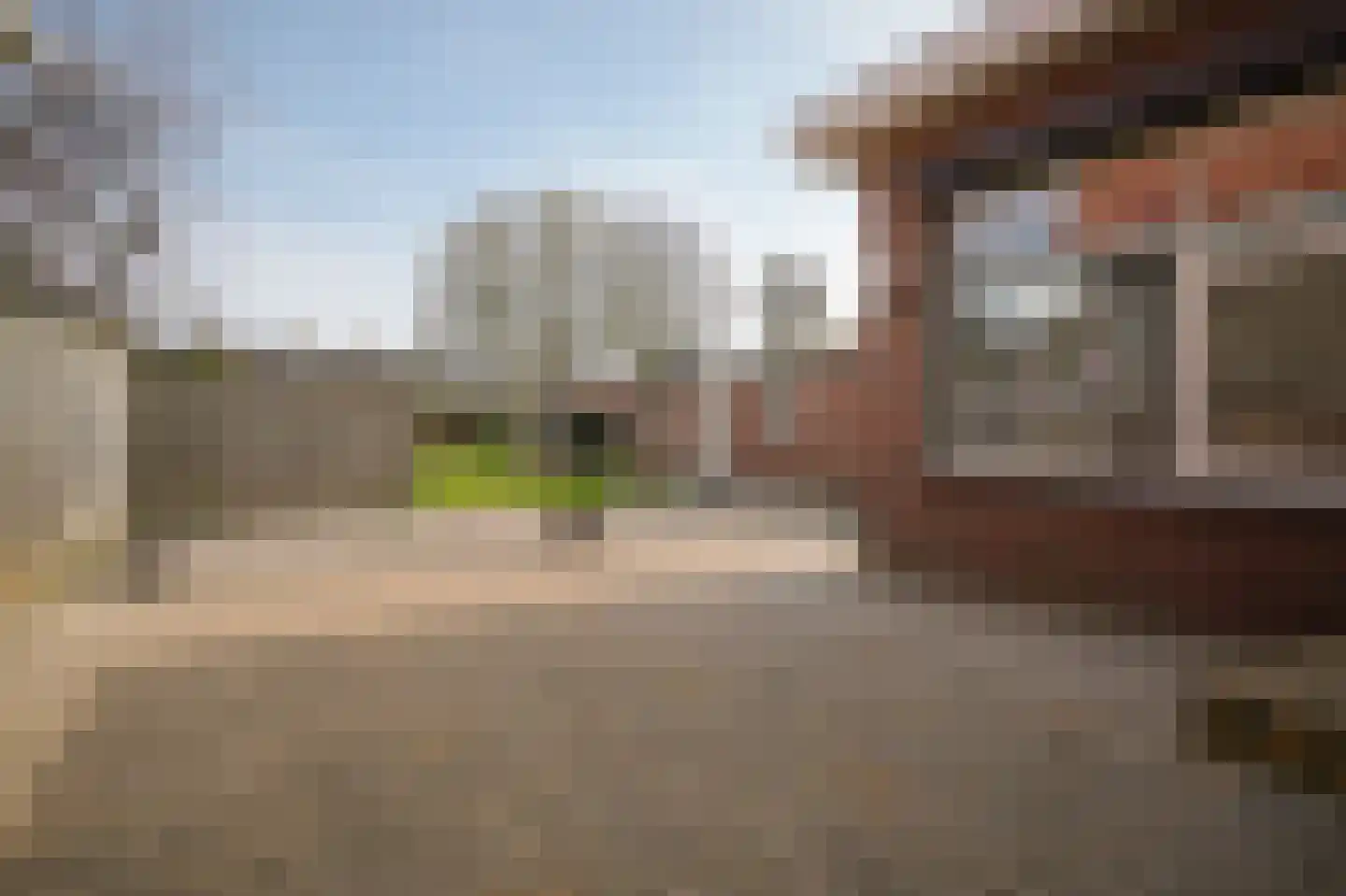 Steenweg 53 Zaltbommel thumbnail 32