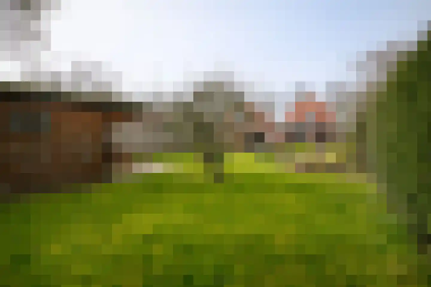 Steenweg 53 Zaltbommel thumbnail 33