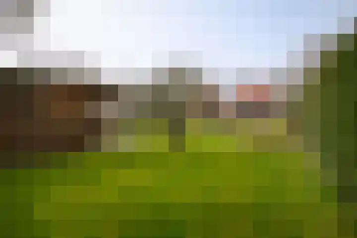 Steenweg 53 Zaltbommel thumbnail 33